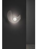 Mytilus MY06