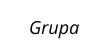 Grupa Model